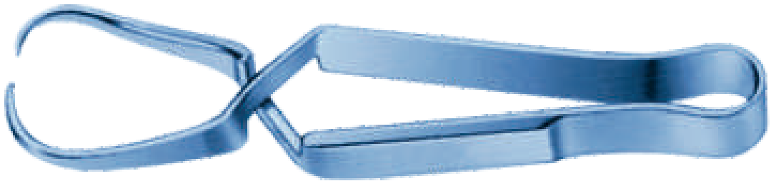 Schaedel Towel Forceps